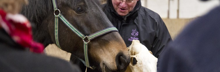 Derek_Clark_Holistic_Equitation
