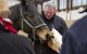 Derek_Clark_Holistic_Equitation